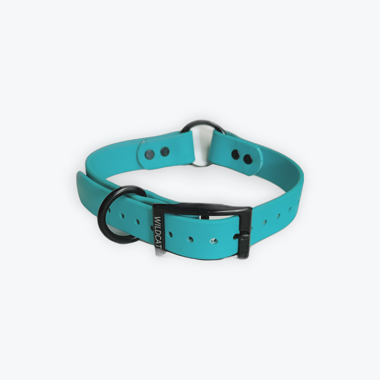 Dog Collars - 1” Beta Waterproof Collars