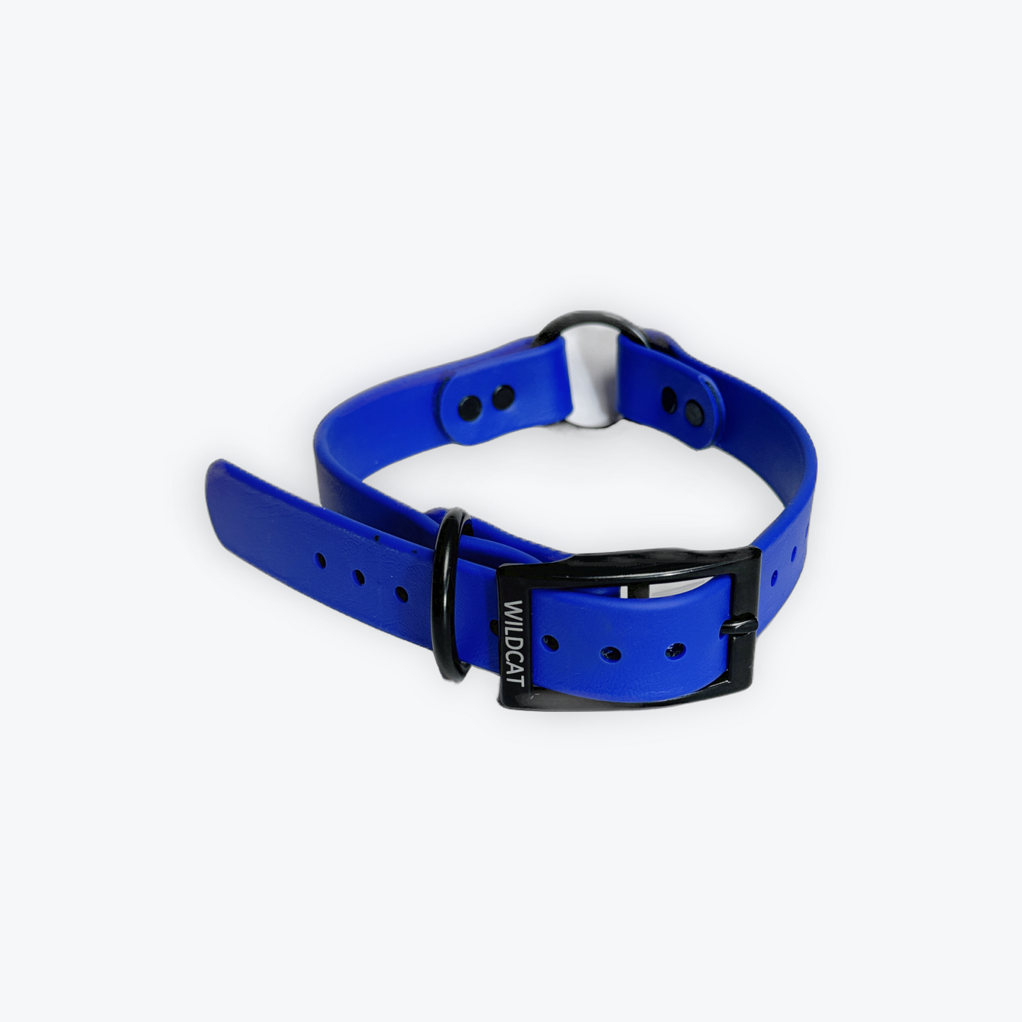 Dog Collars - 1” Beta Waterproof Collars