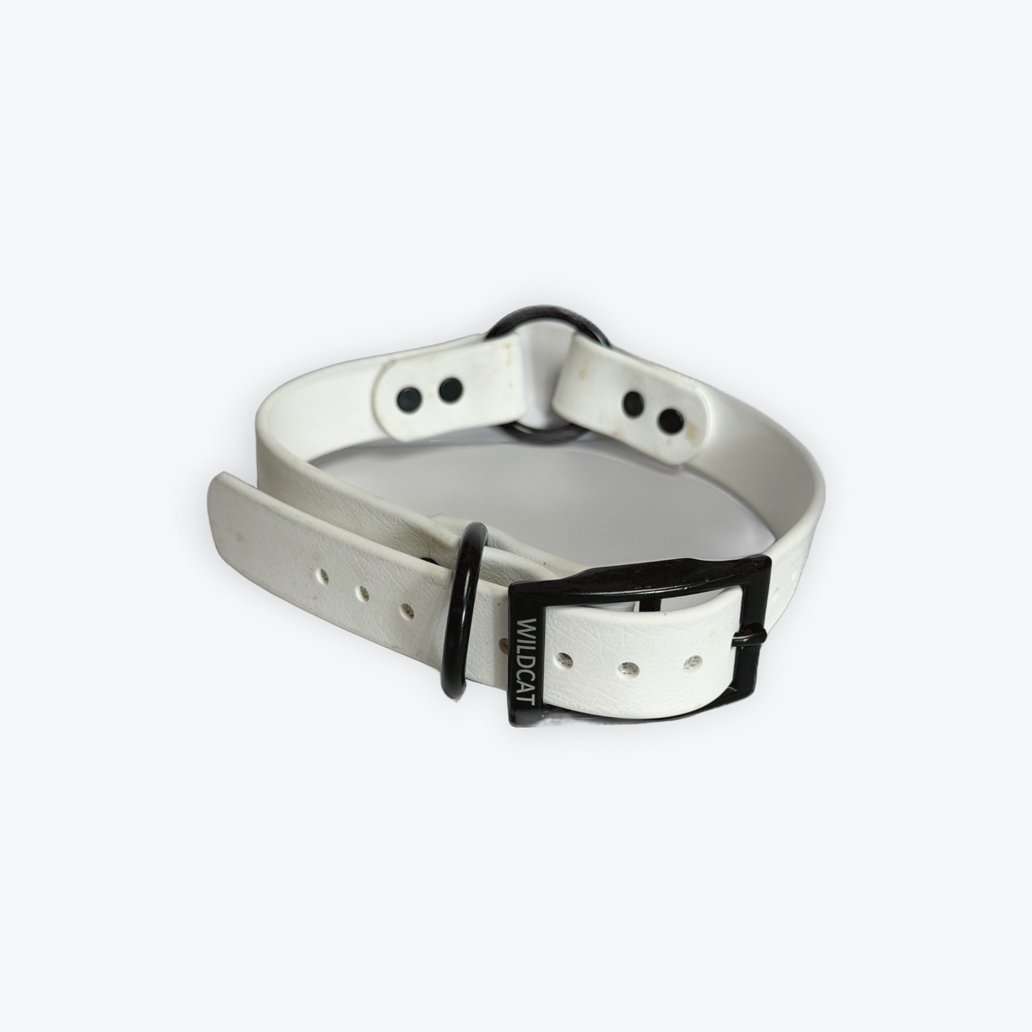 Dog Collars - 1” Beta Waterproof Collars