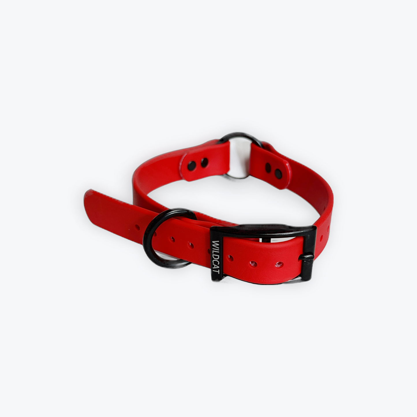 Dog Collars - 1” Beta Waterproof Collars