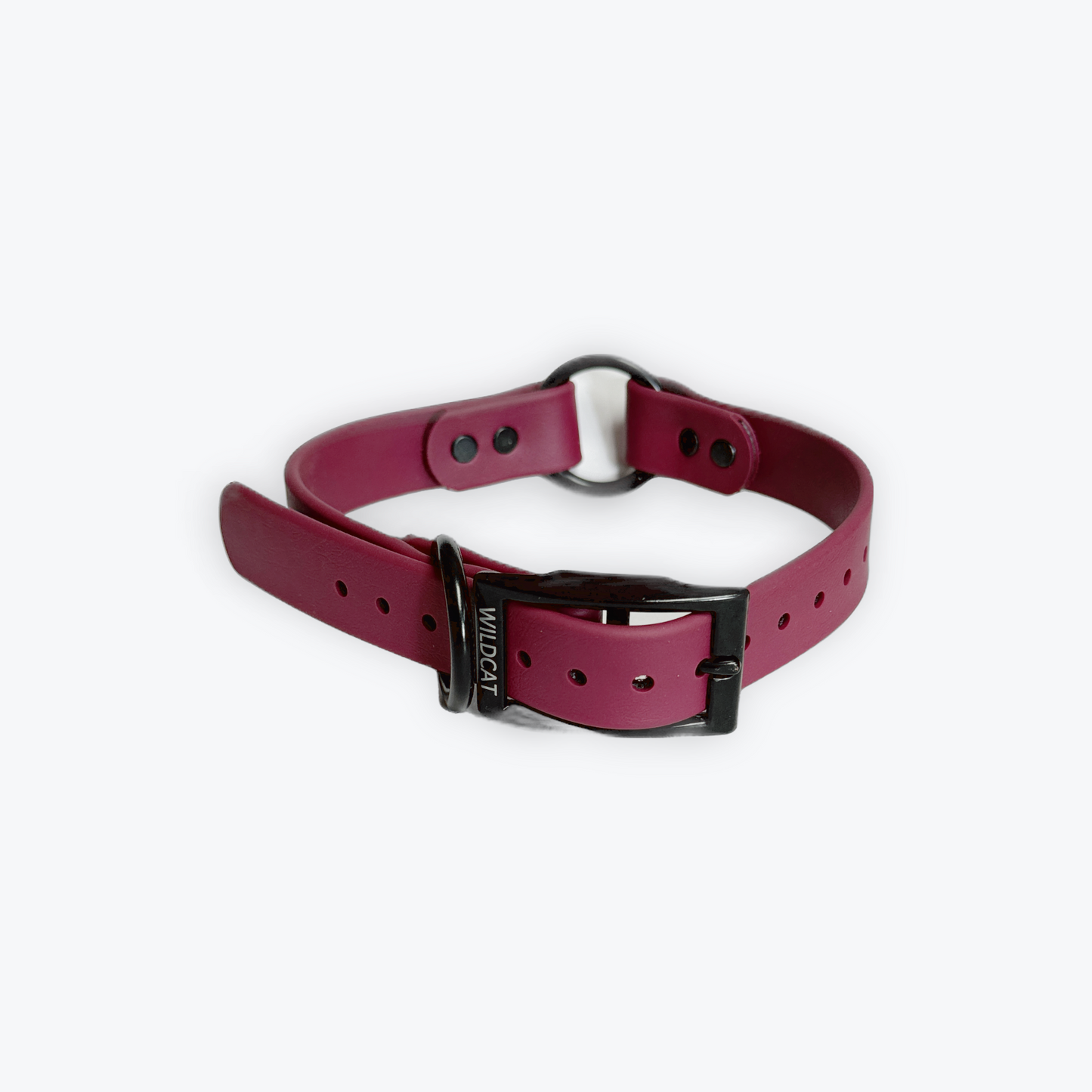 Dog Collars - 1” Beta Waterproof Collars