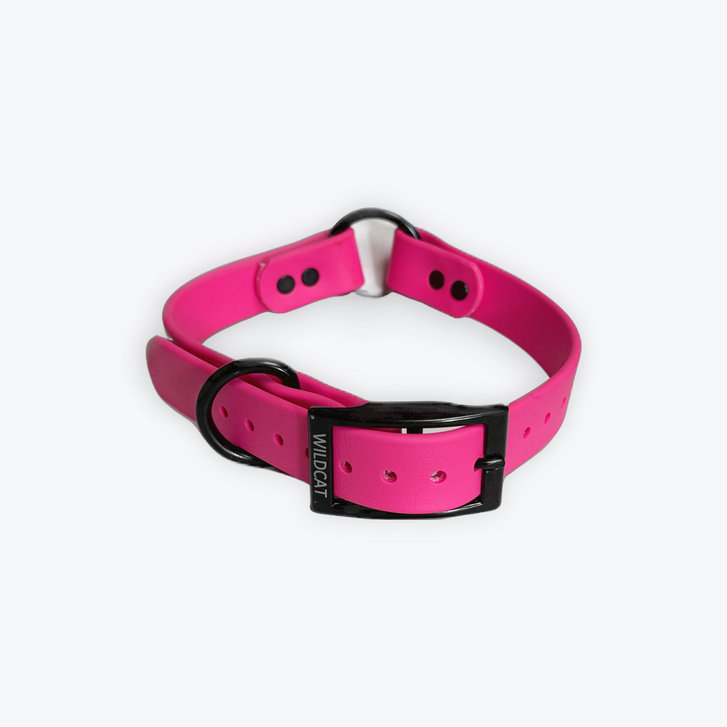 Dog Collars - 1” Beta Waterproof Collars