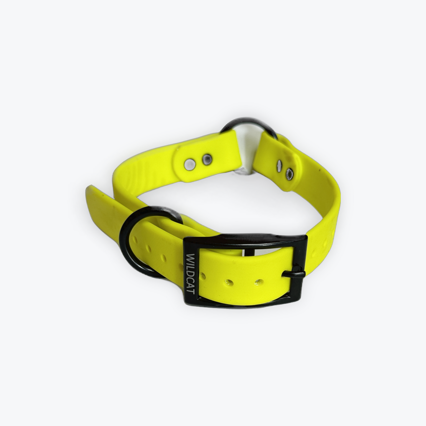 Dog Collars - 1” Beta Waterproof Collars