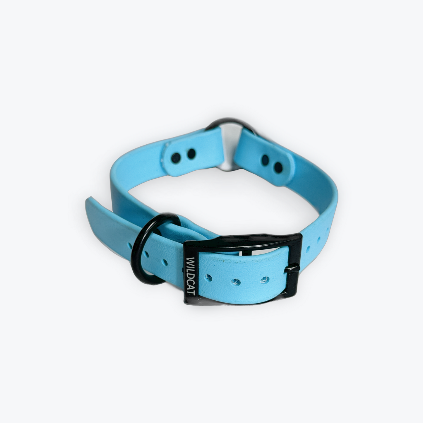 Dog Collars - 1” Beta Waterproof Collars