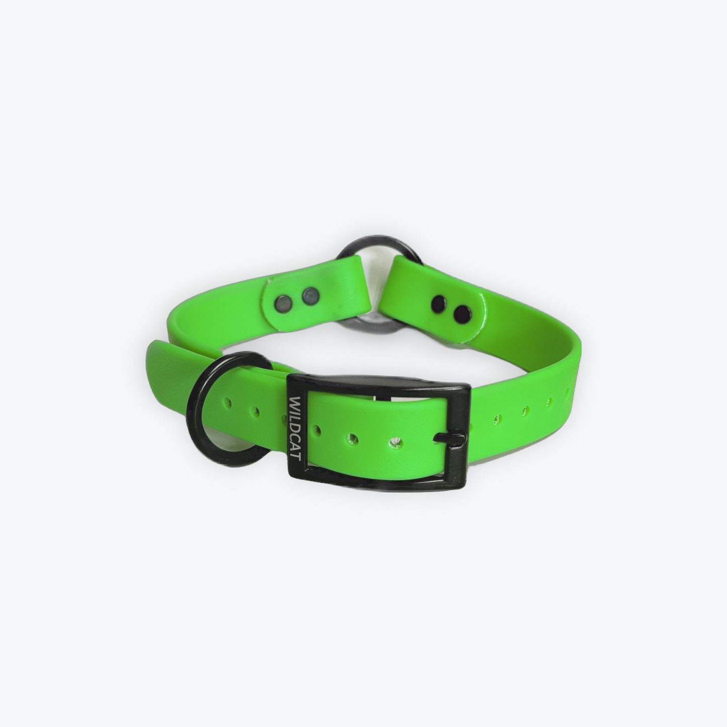Dog Collars - 1” Beta Waterproof Collars