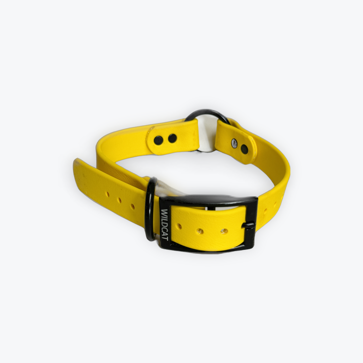 Dog Collars - 1” Beta Waterproof Collars