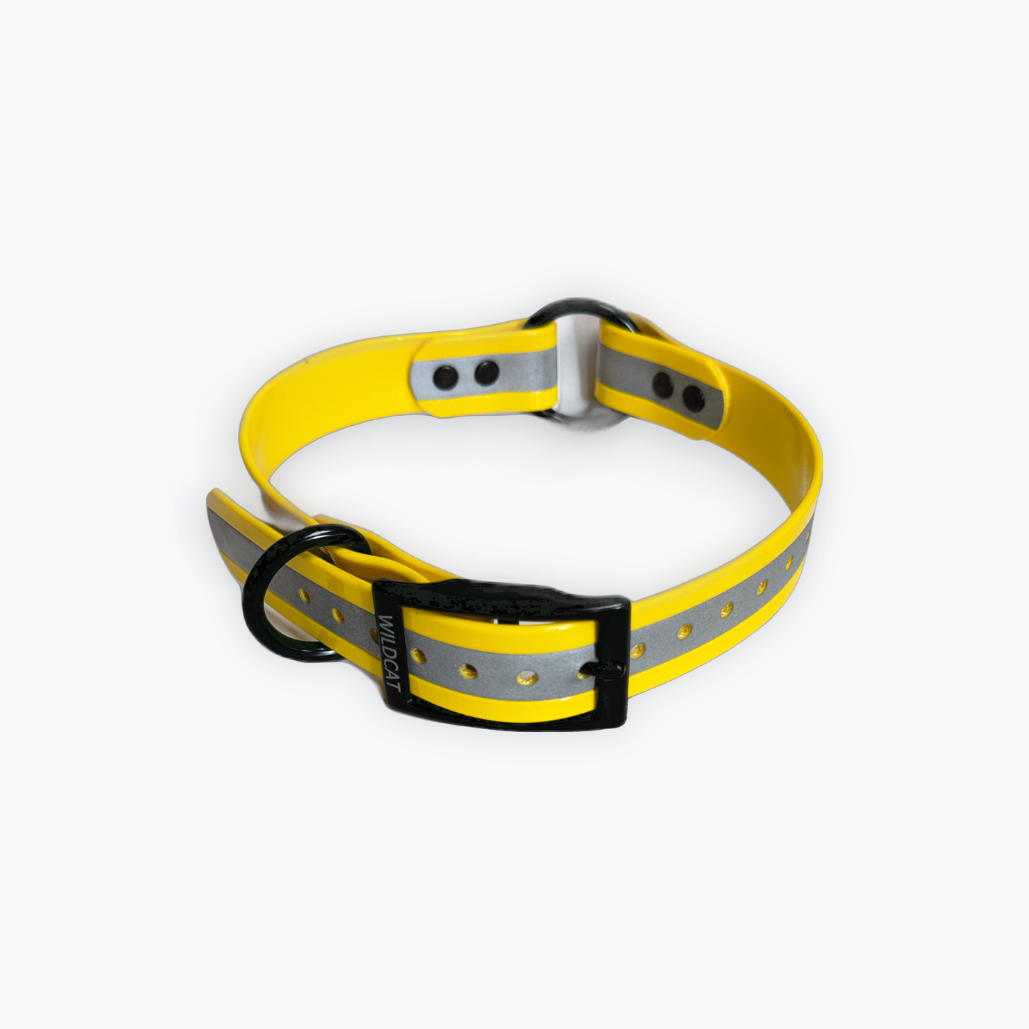 1 in reflective dog collar with black hardware