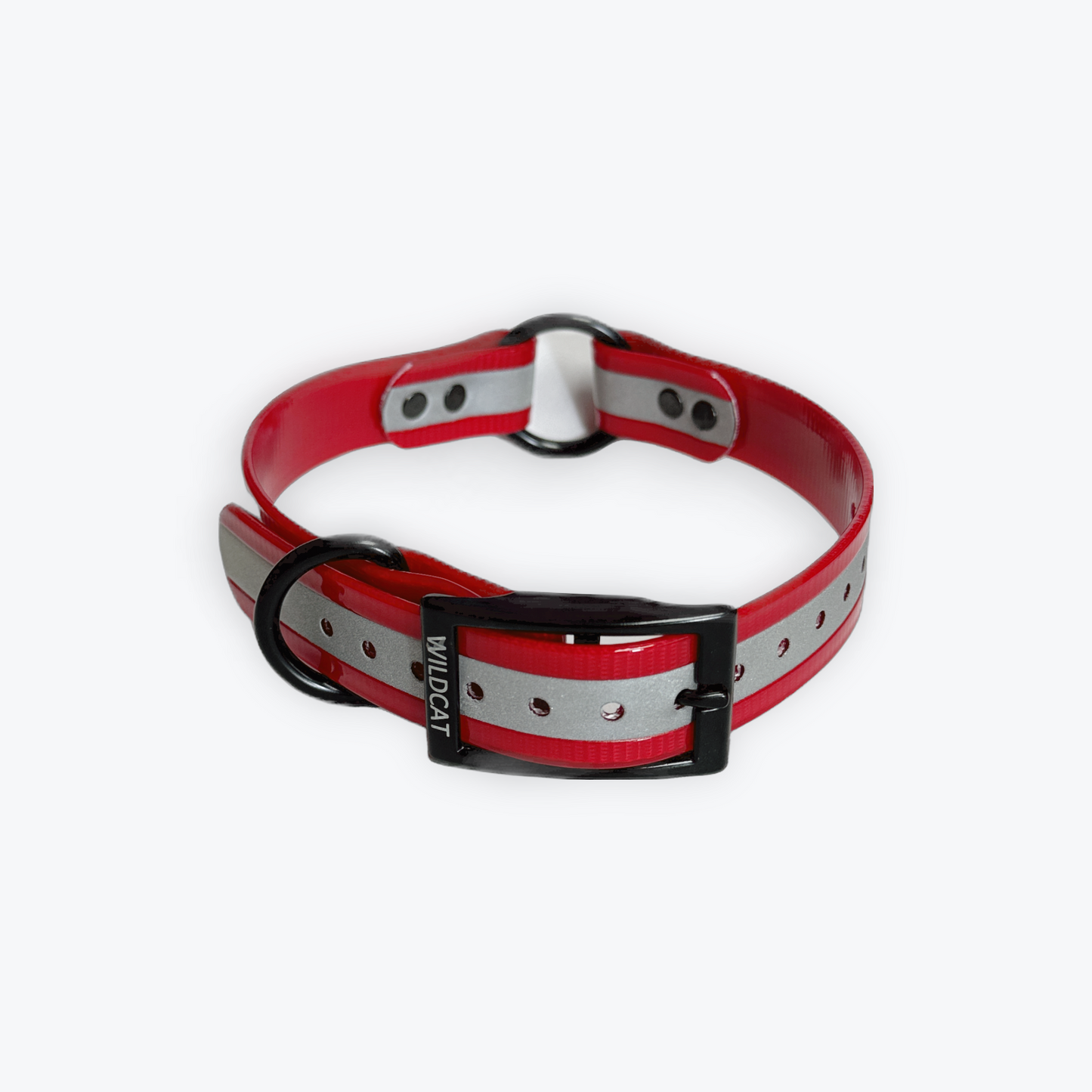 Dog Collars - 1" Reflective with black hardware