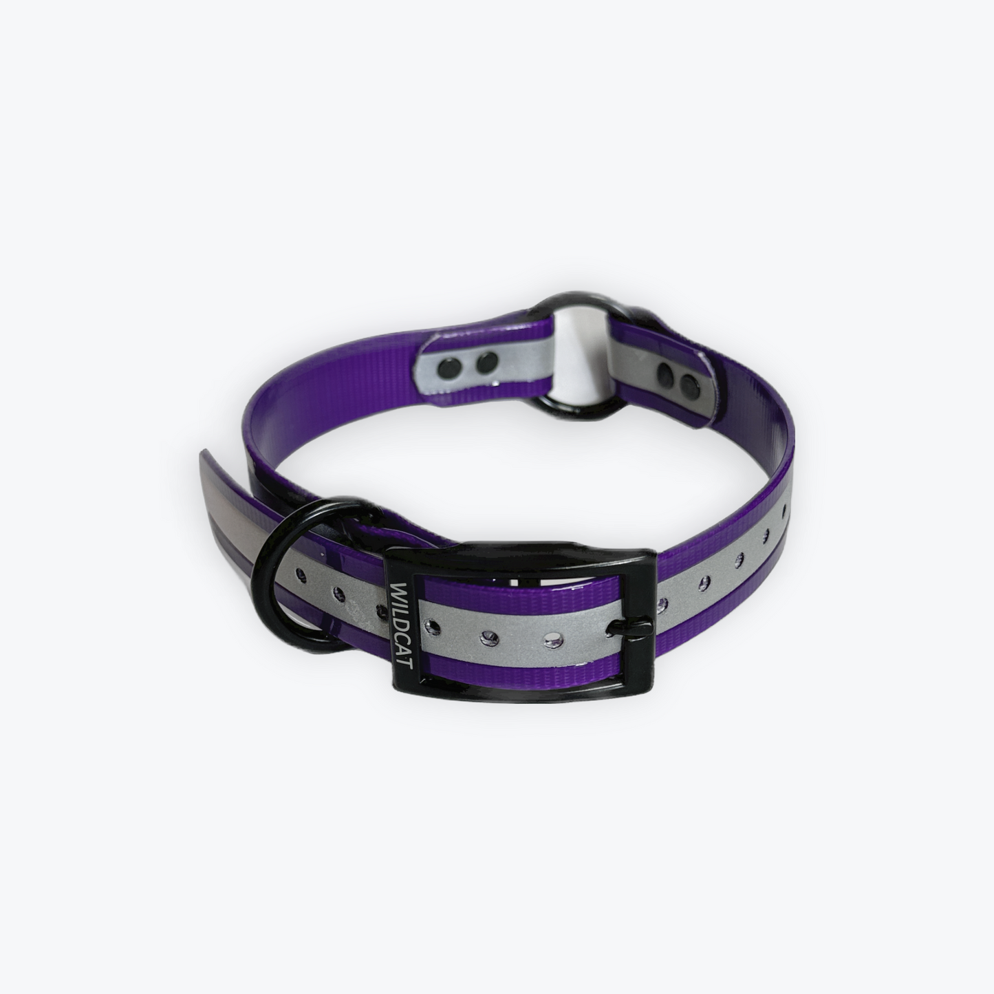 Dog Collars - 1" Reflective with black hardware