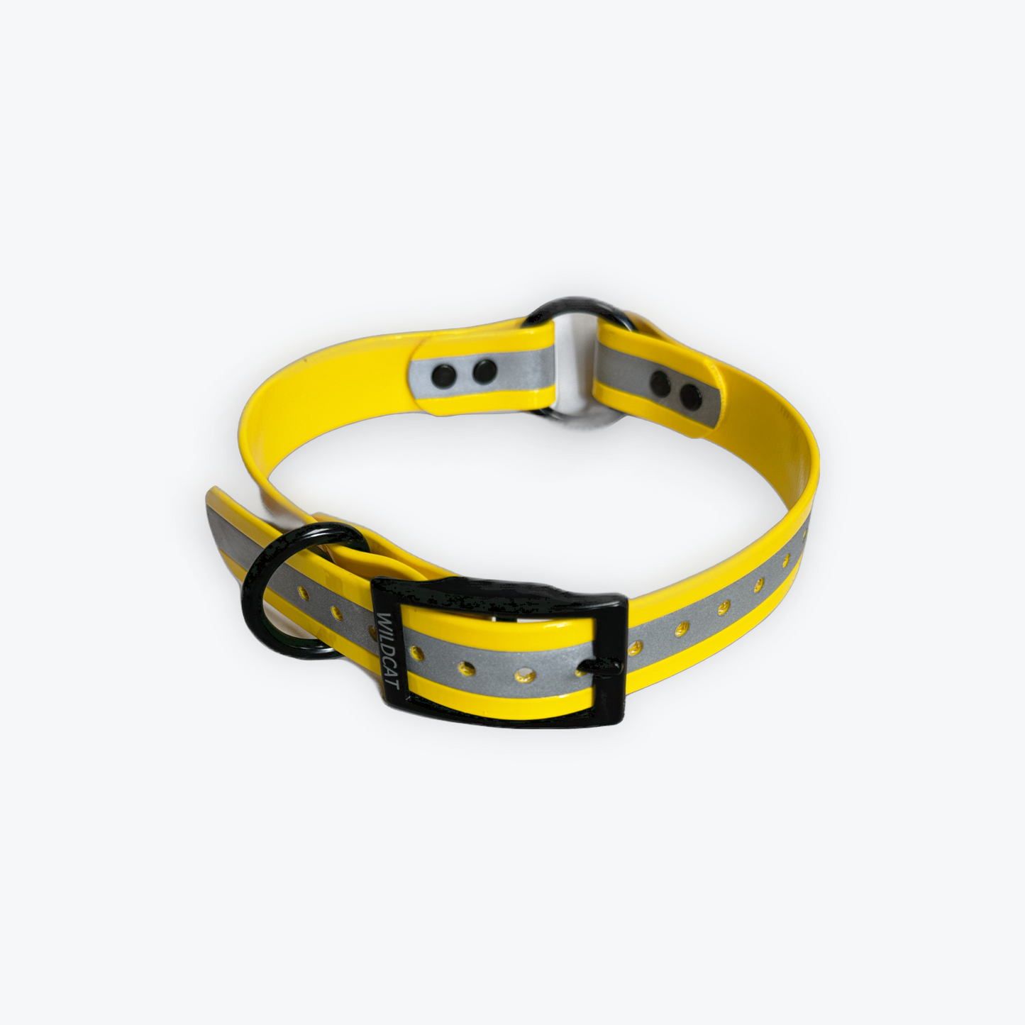 Dog Collars - 1" Reflective with black hardware