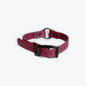 Dog Collars - 1” Beta Waterproof Collars
