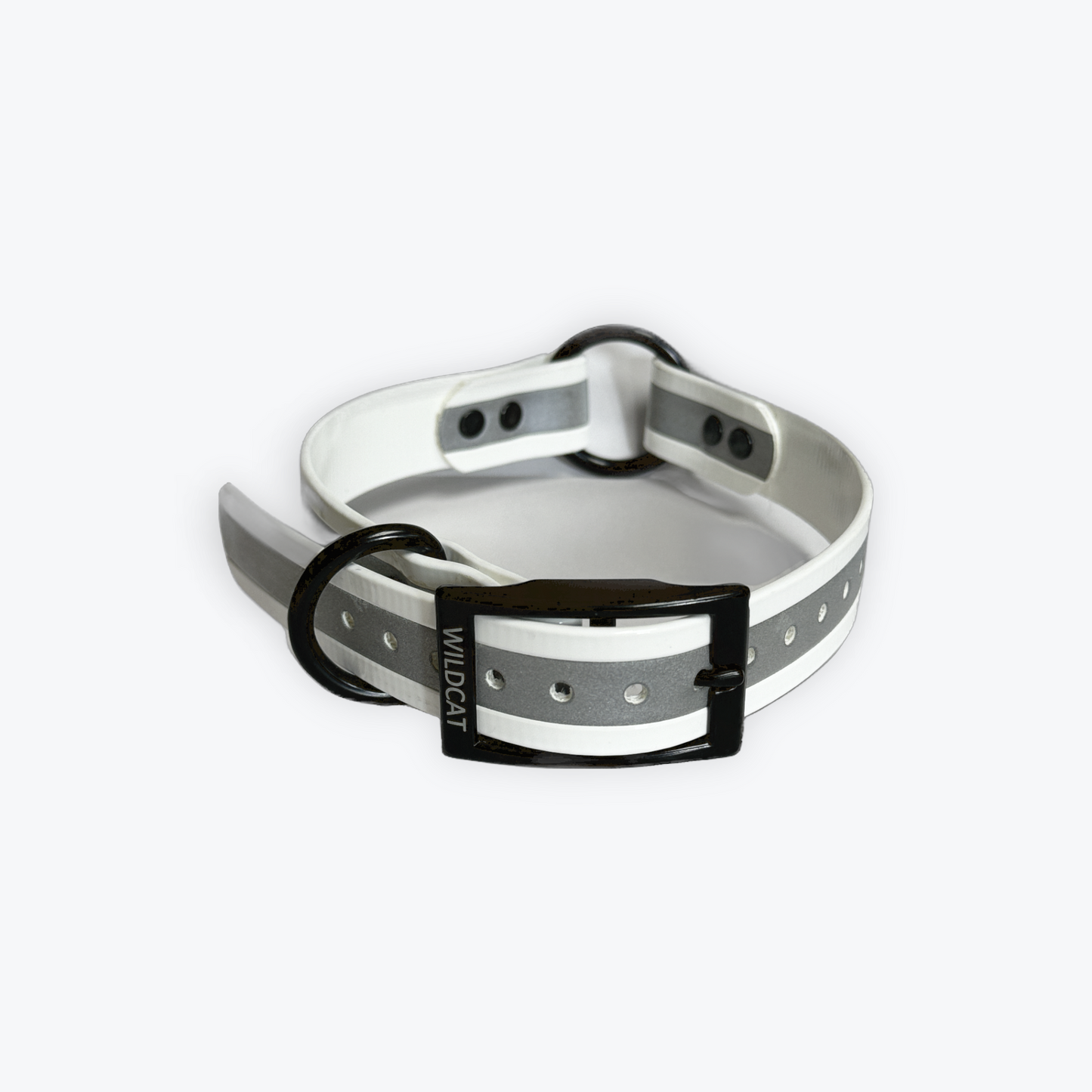 Dog Collars - 1" Reflective with black hardware