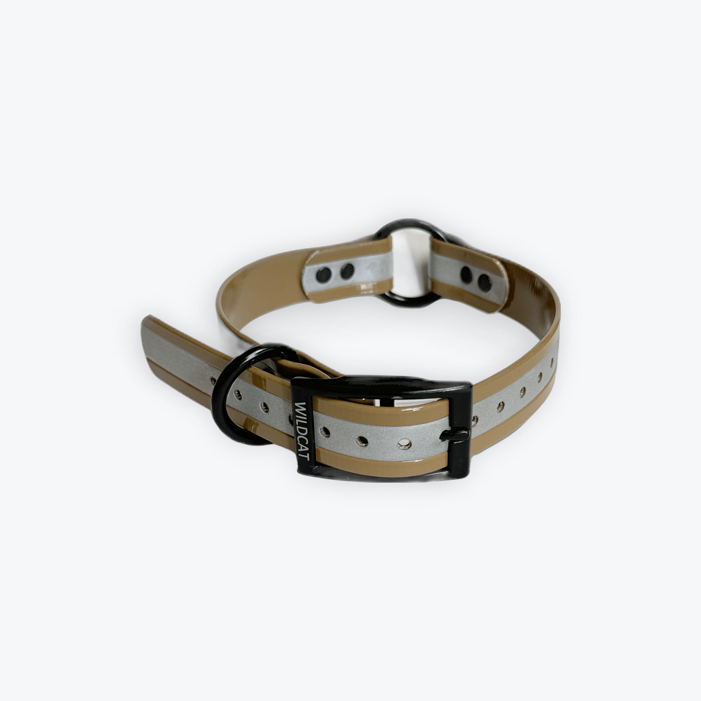 Dog Collars - 1" Reflective with black hardware