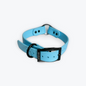 Dog Collars - 1” Beta Waterproof Collars