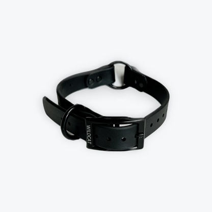 Dog Collars - 1” Beta Waterproof Collars