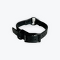 Dog Collars - 1” Beta Waterproof Collars