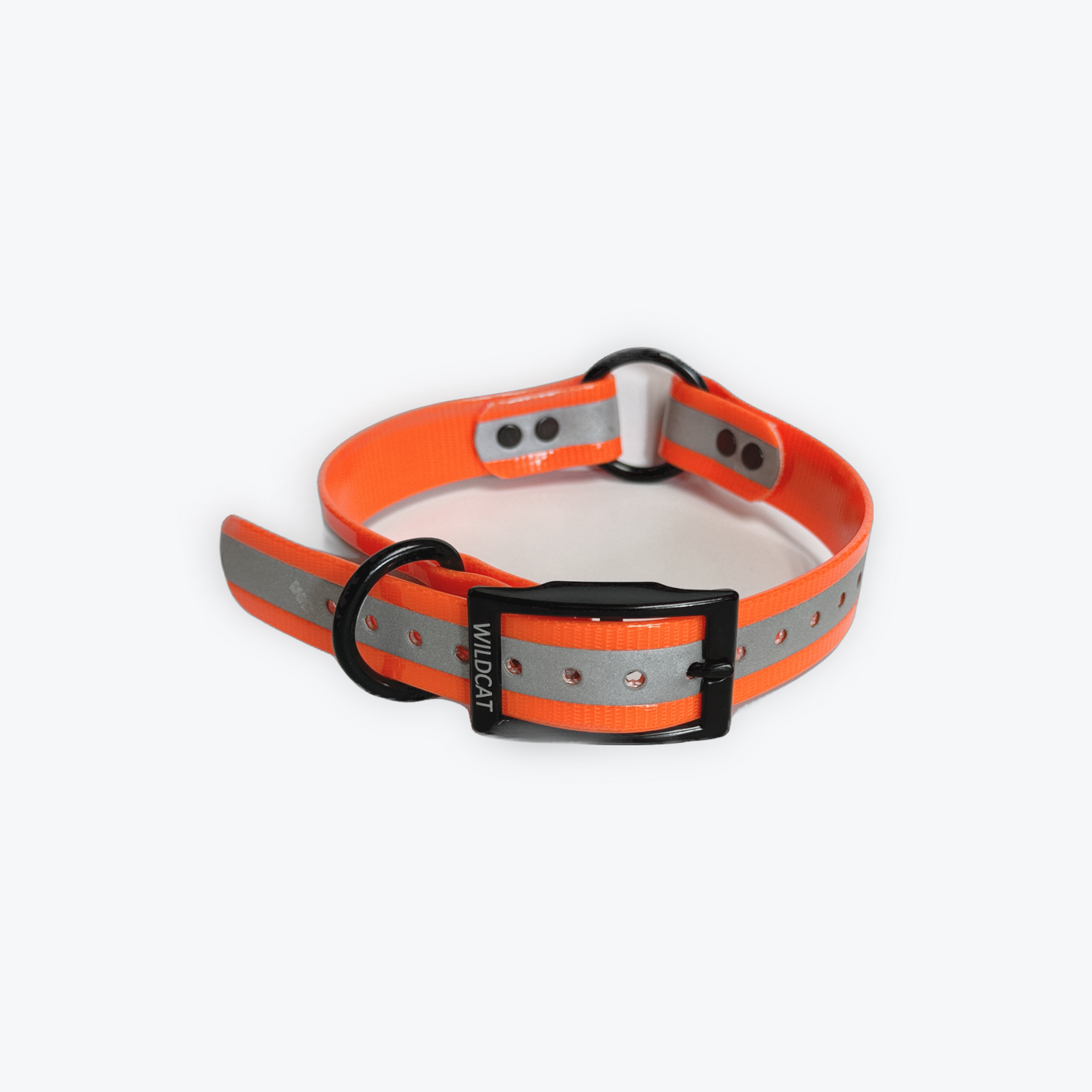 Dog Collars - 1" Reflective with black hardware