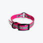 Dog Collars - 1" Reflective with black hardware