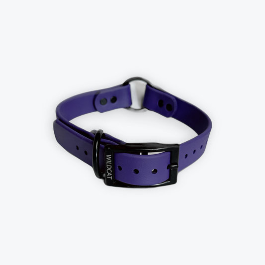 Dog Collars - 1” Beta Waterproof Collars