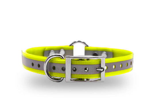 Dog Collars - 1” Reflexive Dayglo Collars