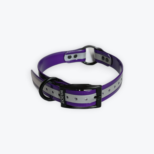 1 in reflective dog collar with black hardware