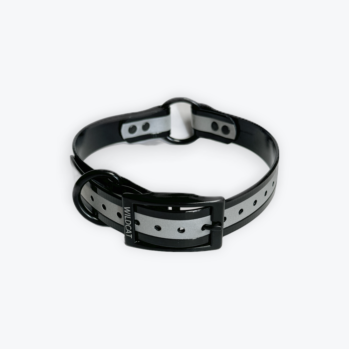 1 in reflective dog collar with black hardware