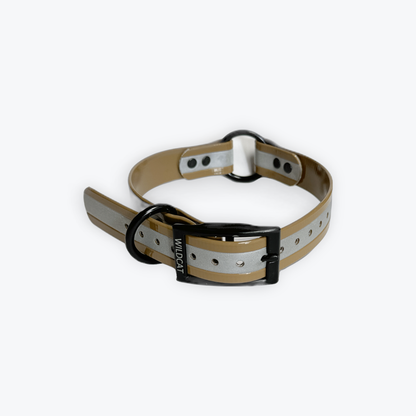 1 in reflective dog collar with black hardware
